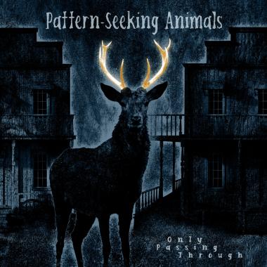 Pattern Seeking Animals -  Only Passing Through